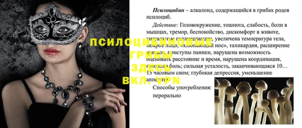 прущие крисы Баксан