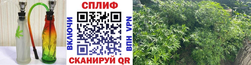 дарнет шоп  Щёкино  Конопля VHQ 